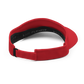 IVC Red Visor